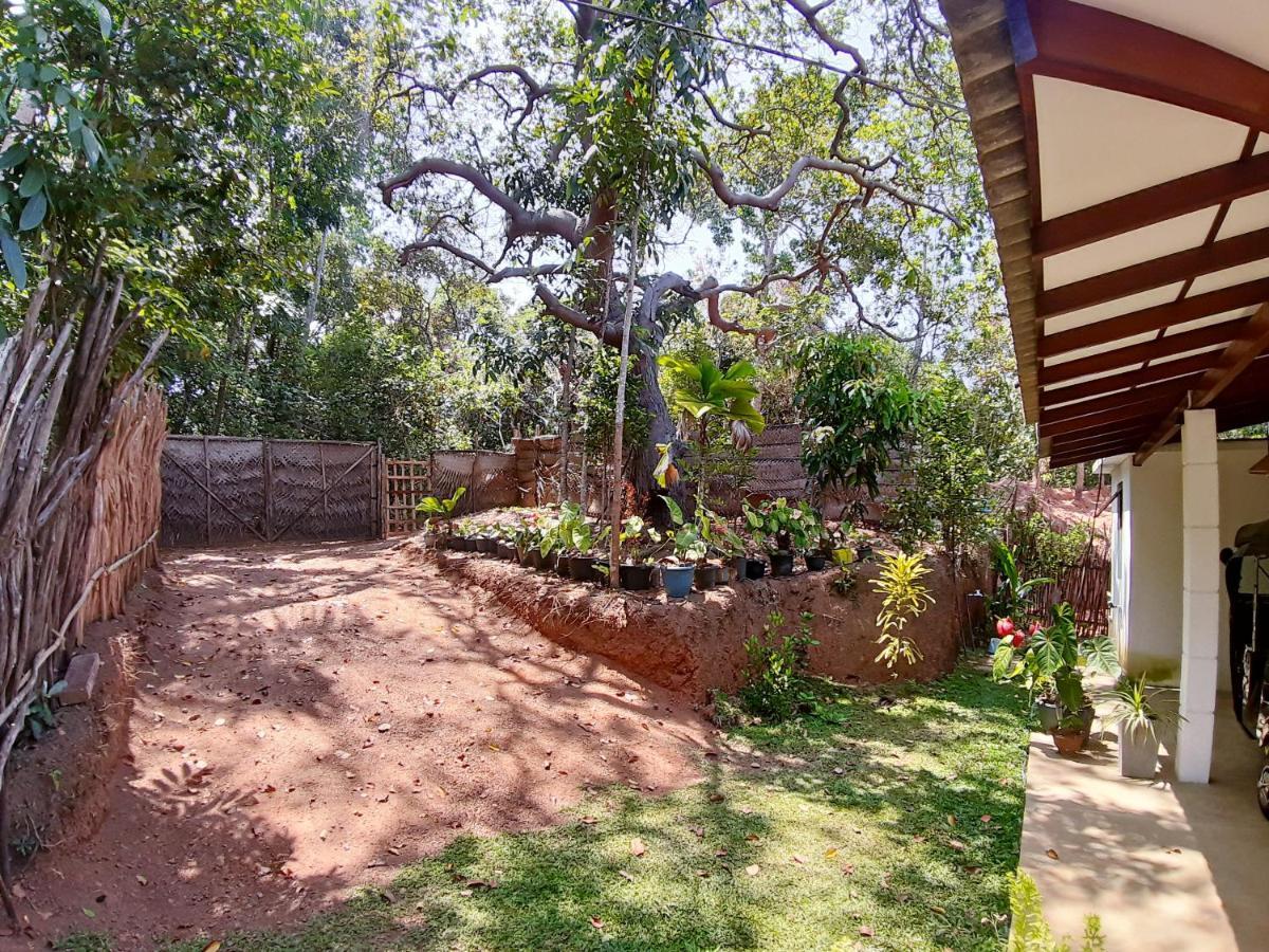Cashew Villa Hiriketiya Dikwella Sur Exterior foto
