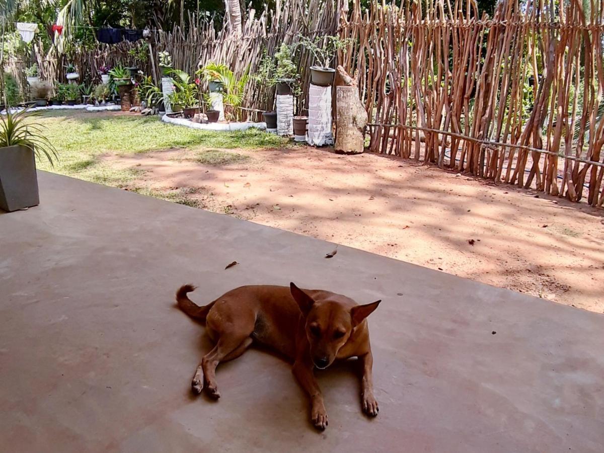 Cashew Villa Hiriketiya Dikwella Sur Exterior foto